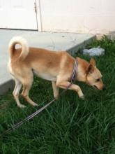 MD-489-12 - Friendly Fella - Going to rescue! image 2