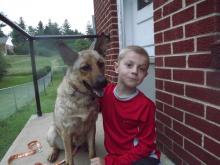 MD-173-13: Small German Shepherd Mix - ADOPTED!! image 5