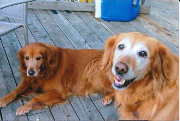 In Memory of Two Sweet Souls