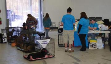 Adoption Event at Tractor Supply a Success! image 5