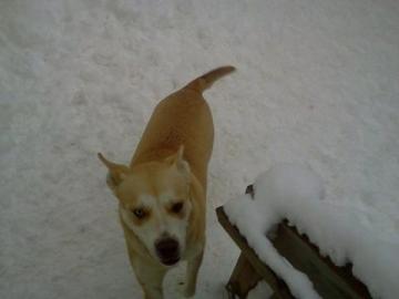 Lexy image 1