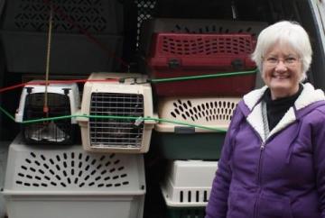 18 Animals Safely Transported to Rescue Sanctuary image 2