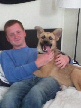 Shepherd Pup Loves New Family image 2