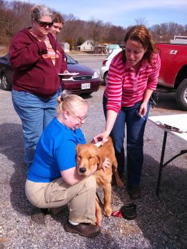 Giles Animal Rescue Volunteer Information